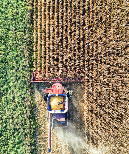 Documentary Collection & Factoring